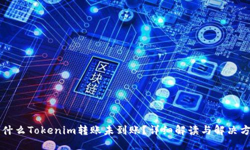 为什么Tokenim转账未到账？详细解读与解决方案