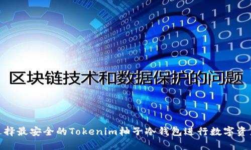 如何选择最安全的Tokenim柚子冷钱包进行数字资产存储