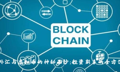 揭开外汇与虚拟币的神秘面纱：投资新手的全方位指南
