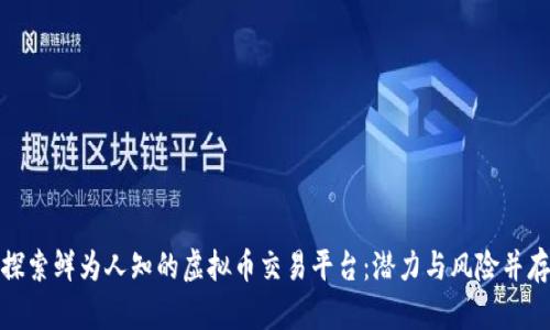 探索鲜为人知的虚拟币交易平台：潜力与风险并存