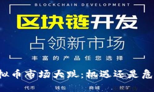 虚拟币市场大跌：机遇还是危机？
