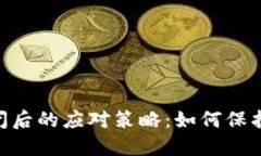 : Tokenim倒闭后的应对策略：如何保护你的数字资