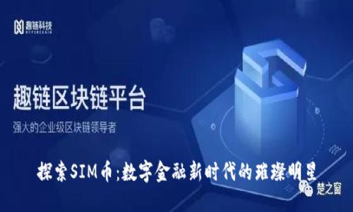 探索SIM币：数字金融新时代的璀璨明星