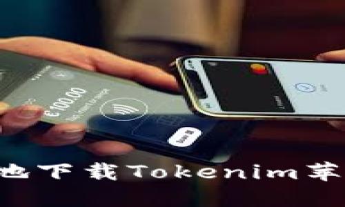 如何安全便捷地下载Tokenim苹果版：最终攻略