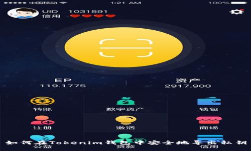 如何在Tokenim钱包中安全地导出私钥