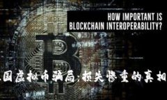 精彩揭秘德国虚拟币骗局：损失惨重的真相与教