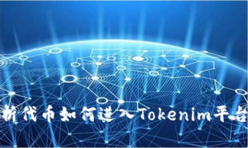 深入解析代币如何进入Tokenim平台的通道
