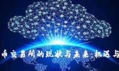 中国虚拟币交易所的现状与未来：机遇与挑战并