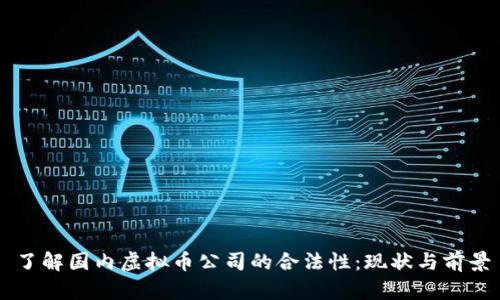 了解国内虚拟币公司的合法性：现状与前景