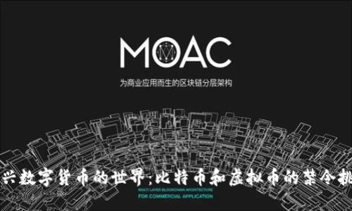 新兴数字货币的世界：比特币和虚拟币的禁令挑战
