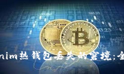 如何有效应对Tokenim热钱包丢失的窘境：全面指导与预防措施