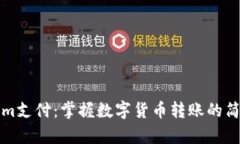 Tokenim支付：掌握数字货币转账的简单方法