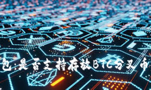 Tokenim钱包：是否支持存放BTC分叉币的全面分析