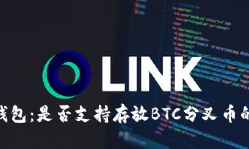 Tokenim钱包：是否支持存放BTC分叉币的全面分析