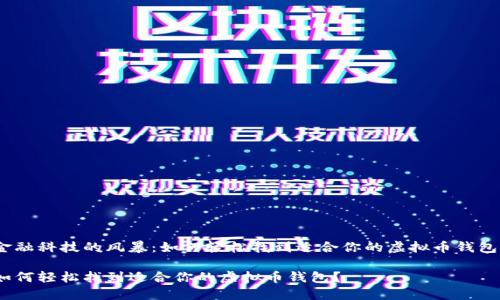 金融科技的风暴：如何轻松找到适合你的虚拟币钱包？

如何轻松找到适合你的虚拟币钱包？