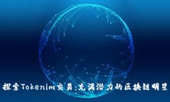 探索Tokenim交易：充满潜力的区块链明星