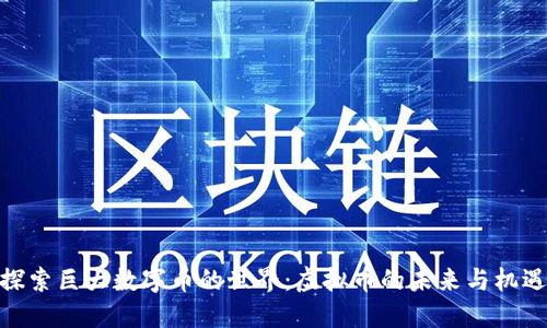 探索巨大数字币的世界：虚拟币的未来与机遇