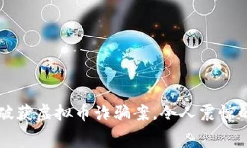 南阳警方破获虚拟币诈骗案，令人震惊的幕后真相
