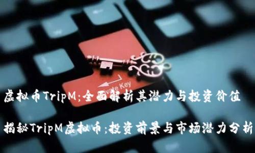 虚拟币TripM：全面解析其潜力与投资价值

揭秘TripM虚拟币：投资前景与市场潜力分析