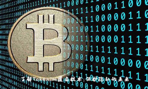 了解Tokenim匿名技术：保护隐私的未来