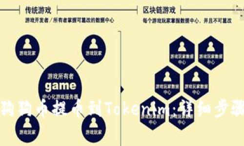 如何成功将狗狗币提币到Tokenim：详细步骤与注意事项