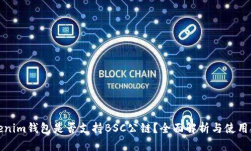 Tokenim钱包是否支持BSC公链？全面解析与使用指南