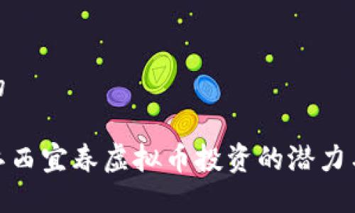 思考的

探索江西宜春虚拟币投资的潜力与风险