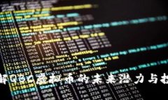 深入了解QBC虚拟币的未来潜力与投资机会