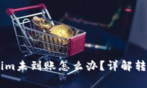 SHIB转账到Tokenim未到账怎么办？详解转账过程与常见问题