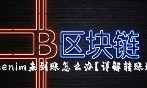 SHIB转账到Tokenim未到账怎么办？详解转账过程与常见问题