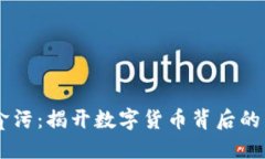 虚拟币贪污：揭开数字货币背后的阴暗交易