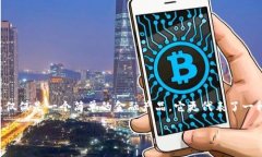 开发Tokenim：数字货币的新时代引领者在数字资产