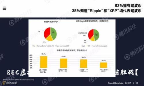 REC虚拟币：投资风险为何让人心惊胆战？