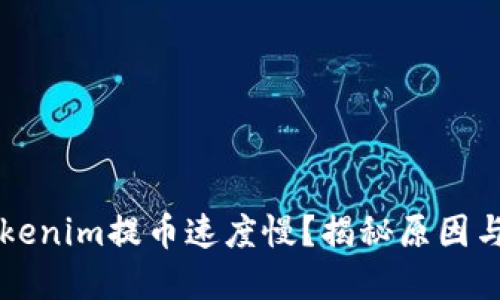 为什么Tokenim提币速度慢？揭秘原因与解决方案