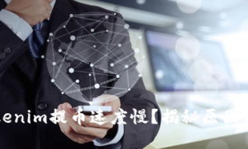 为什么Tokenim提币速度慢？揭秘原因与解决方案