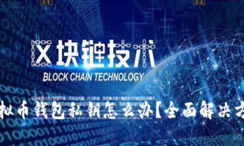忘记虚拟币钱包私钥怎么办？全面解决方案指南