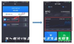 深入探讨U链虚拟币的潜力与应用场景