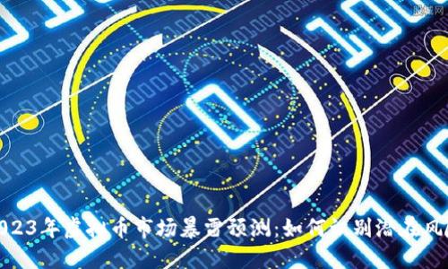2023年虚拟币市场暴雷预测：如何识别潜在风险