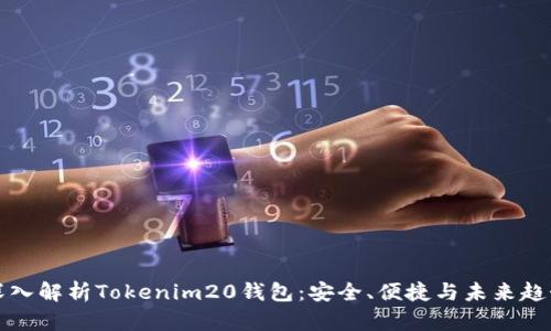 深入解析Tokenim20钱包：安全、便捷与未来趋势