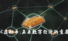 揭秘C虚拟币：未来数字经济的重要角色