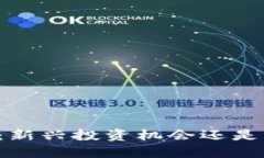 虚拟币LT：新兴投资机会还是风险重重？