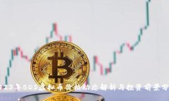 2023年BDS虚拟币价格动态解析与投资前景分析