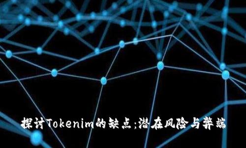 探讨Tokenim的缺点：潜在风险与弊端