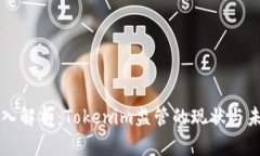 深入解析：Tokenim监管的现状与未来