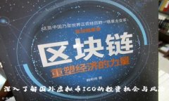 深入了解国外虚拟币ICO的投资机会与风险