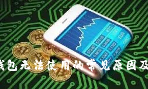  虚拟币钱包无法使用的常见原因及解决方案