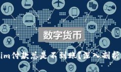 为何Tokenim付款总是不到账？深入剖析与解决方案