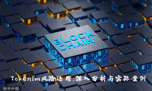  Tokenim风险运用：深入分析与实际案例