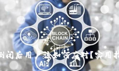 Tokenim倒闭后用户该如何应对？实用指南与建议