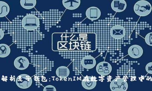 深入解析麦子钱包：TokenIM在数字资产管理中的应用
